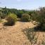 land for sale peyia paphos 1504665 thumbnail 16415708