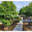 4 bedroom detached house for sale dekeleia larnaca 1699765 thumbnail 12635085