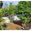 4 bedroom detached house for sale dekeleia larnaca 1699765 thumbnail 12635091