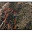 land for sale neo chorio paphos 7509765 thumbnail 17061890