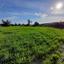 1393 SQM Land for sale in Choirokoitia, Larnaca thumbnail 16188012
