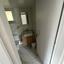 3 bedroom apartment for rent aglantzia nicosia 8742865 thumbnail 16408424