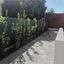 3 bedroom bungalow for sale sotiros agios ioannis larnaca larnaca 8960865 thumbnail 17800022