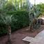 3 bedroom detached house for sale mazotos larnaca 1681865 thumbnail 4379400