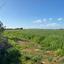 land for sale xylotymvou larnaca 1262865 thumbnail 15600991