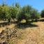 3 bedroom town house for sale choulou paphos 8966965 thumbnail 17850660