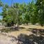 3 bedroom town house for sale choulou paphos 8966965 thumbnail 17850663