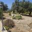 4 bedroom detached house for sale agia marina chrysochous paphos 1896965 thumbnail 7213740