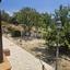 4 bedroom detached house for sale agia marina chrysochous paphos 1896965 thumbnail 7213744