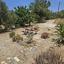 4 bedroom detached house for sale agia marina chrysochous paphos 1896965 thumbnail 7213752
