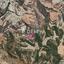land for sale steni paphos 7812965 thumbnail 10644272
