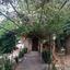 4 bedroom detached house for rent potamos germasogeias limassol 8869075 thumbnail 17285497