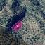 land for sale pomos paphos 8396075 thumbnail 14823592