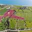 land for sale agios theodoros larnacas larnaca 7872175 thumbnail 12910743