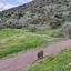 land for sale nata paphos 8382175 thumbnail 14703287
