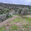 land for sale nata paphos 8382175 thumbnail 14703298