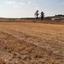 land for sale palaiometocho nicosia 1098175 thumbnail 16180328