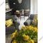 2 bedroom ground floor apartment for rent strovolos nicosia 1581275 thumbnail 16783464