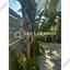 2 bedroom ground floor apartment for rent strovolos nicosia 1581275 thumbnail 16783465
