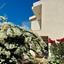 3 bedroom detached house for sale coral bay paphos 1355275 thumbnail 11365293