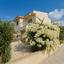 3 bedroom detached house for sale coral bay paphos 1355275 thumbnail 11365295