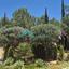 4 bedroom detached house for sale aphrodite hills paphos 8977375 thumbnail 17922383
