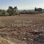 land for sale akaki nicosia 1673475 thumbnail 5217031