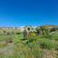 land for sale anarita paphos 1721475 thumbnail 14829563