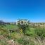 land for sale anarita paphos 1721475 thumbnail 14829570