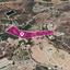 land for sale argaka paphos 1363475 thumbnail 13677781