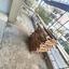 1 bedroom apartment for sale agioi omologitai nicosia 1584575 thumbnail 10893384