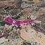 land for sale argaka paphos 8237575 thumbnail 14230897