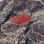 land for sale statos agios fotios paphos 8244575 thumbnail 15596091