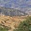 land for sale statos agios fotios paphos 8244575 thumbnail 15596092