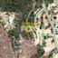 plot for sale palodeia limassol 1148575 thumbnail 5557540