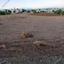 plot for sale timi paphos 8325575 thumbnail 15093871