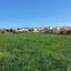 plot for sale timi paphos 8325575 thumbnail 15093873