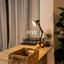 1 bedroom apartment for sale paphos municipality paphos 7884675 thumbnail 11402250
