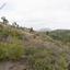 land for sale mitsero nicosia 945675 thumbnail 16700591