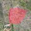 land for sale mitsero nicosia 945675 thumbnail 16700593