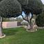 2 bedroom ground floor apartment for sale poli chrysochous paphos 8966775 thumbnail 17845071