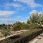 land for sale aphrodite hills paphos 8151875 thumbnail 15195231