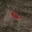 land for sale pera orinis nicosia 8531875 thumbnail 15467664