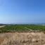 plot for sale kouklia pafou paphos 8441975 thumbnail 15031538