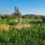 plot for sale parekklisia limassol 1700975 thumbnail 5990695