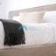 1 bedroom apartment for rent paphos municipality paphos 8936085 thumbnail 17632897