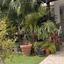 3 bedroom detached house for rent pyrgos limassol limassol 8792085 thumbnail 16692518
