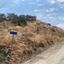 land for sale armou paphos 8395085 thumbnail 14816066
