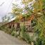 studio building for sale gourri nicosia 1151085 thumbnail 15950384