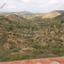 studio building for sale gourri nicosia 1151085 thumbnail 15950394